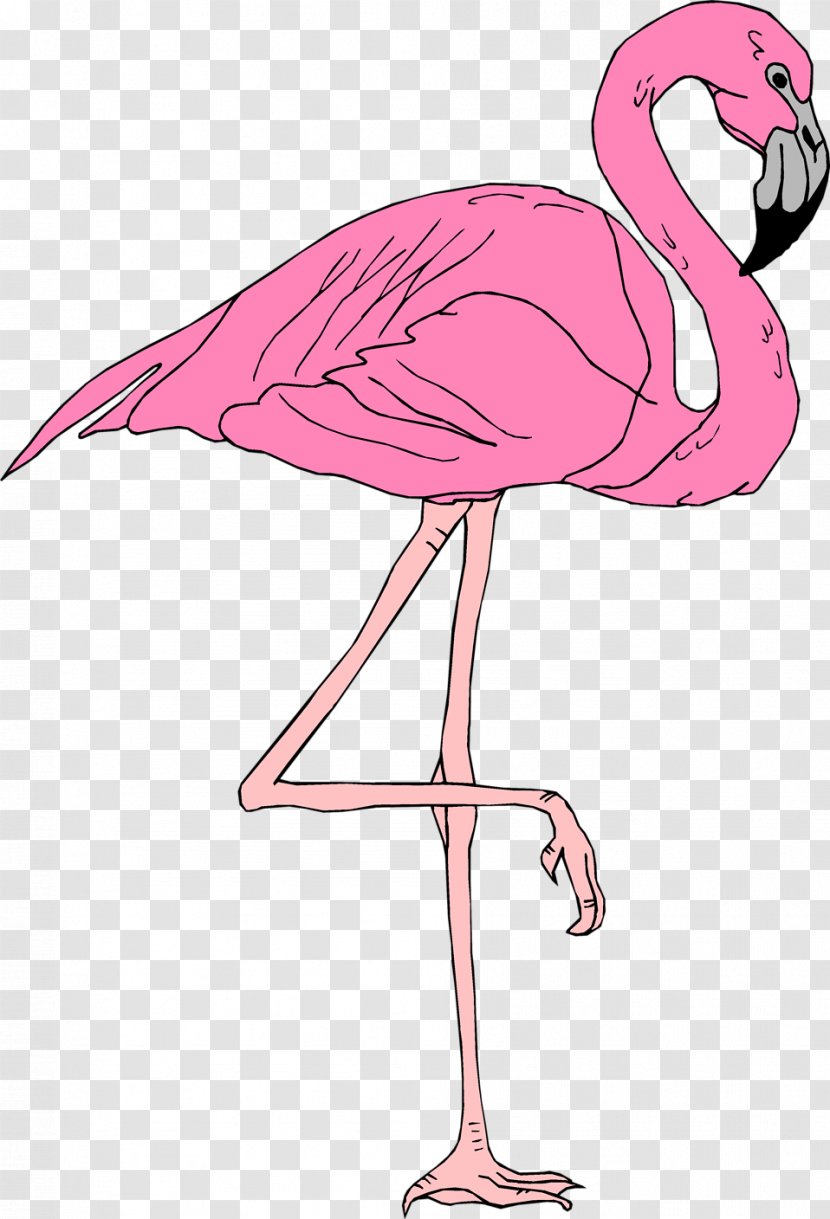 Flamingo Clip Art - Free Transparent PNG