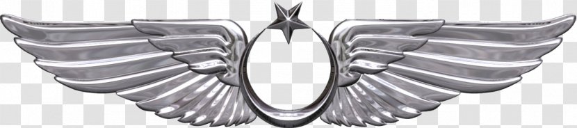 Bröve Turkish Air Force Aircraft Pilot Military - Aviation - Army Wings Regulation Transparent PNG