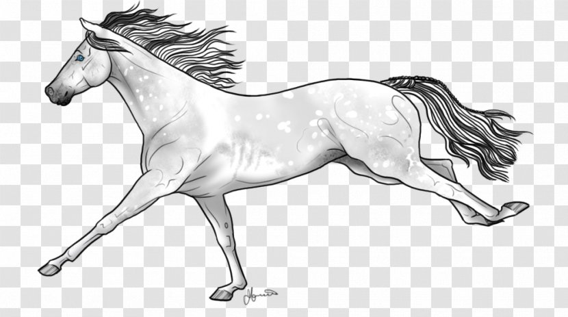 Mustang Stallion Mane Foal Colt - Pony - Chicken Sketch Transparent PNG