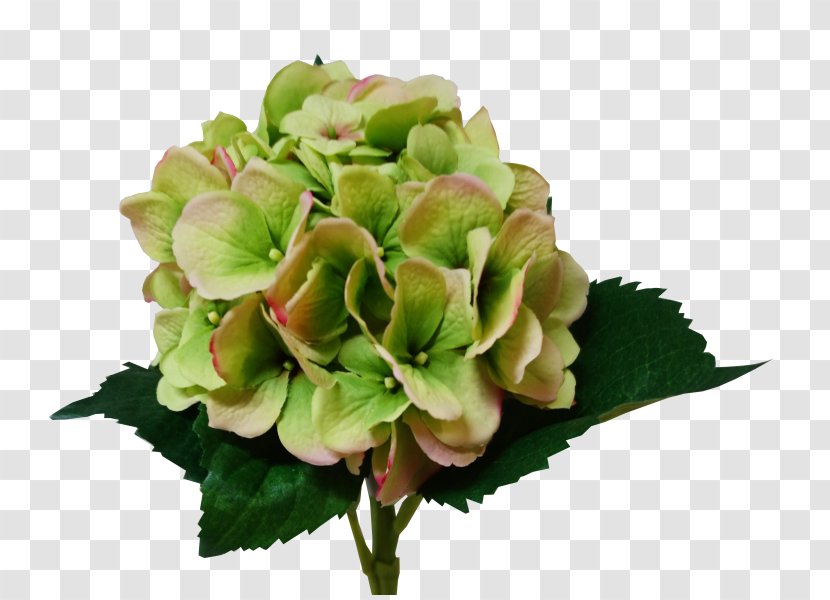 Hydrangea Cut Flowers Flower Bouquet Artificial - Floral Design Transparent PNG