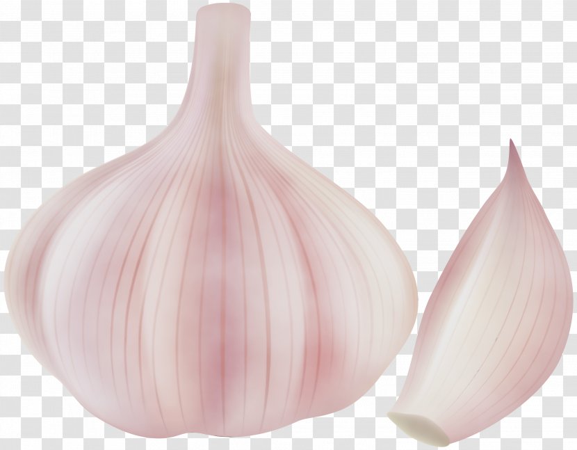 Shallot Garlic Onion Vegetable Elephant - Food Allium Transparent PNG