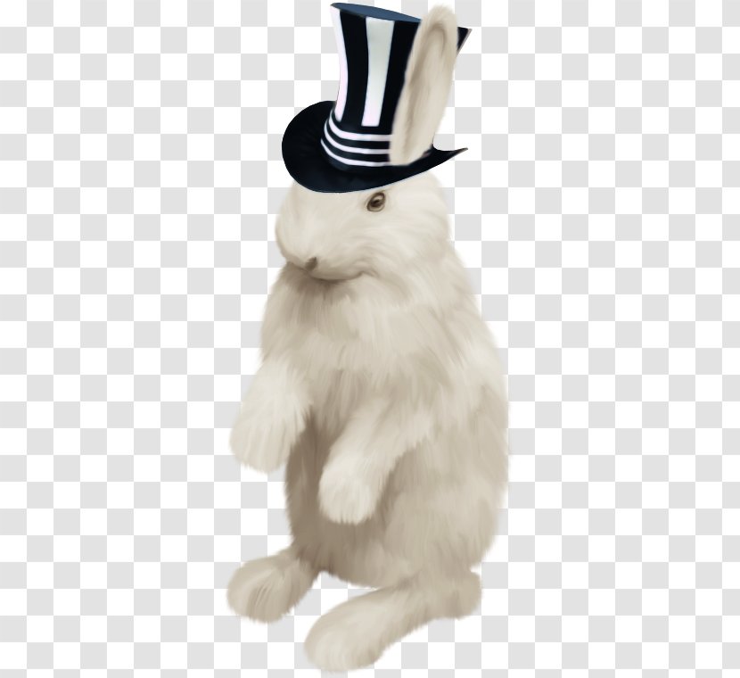 Domestic Rabbit Hare - Drawing Transparent PNG