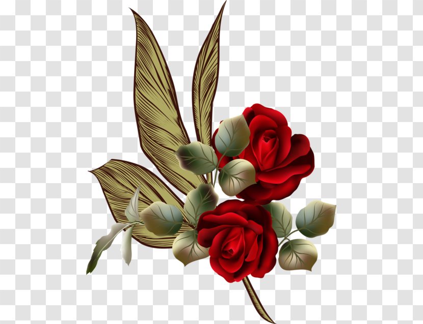 Garden Roses Cut Flowers - Plant - Rose Clipart Beautiful Transparent PNG
