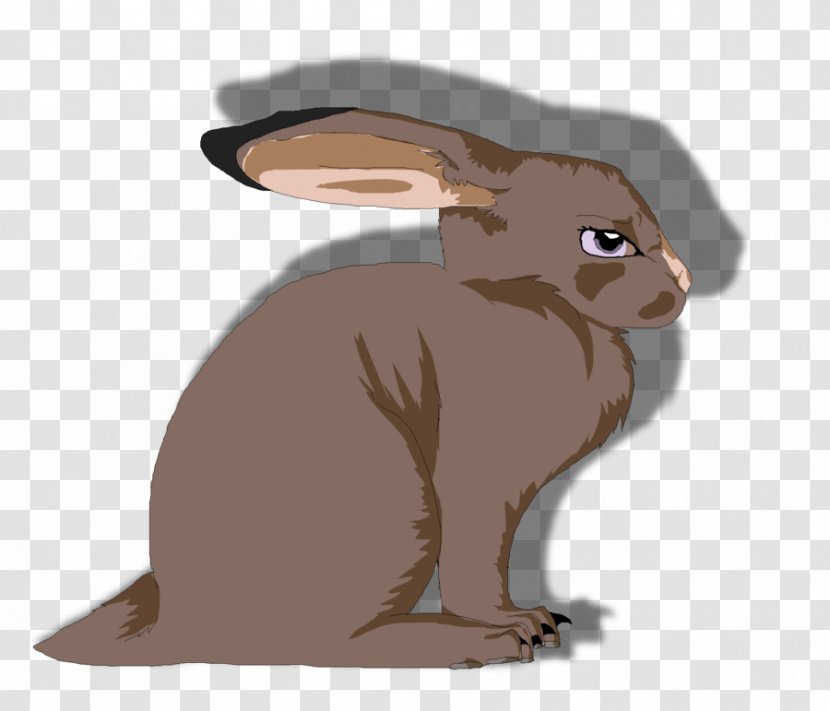 Domestic Rabbit Hare Wildlife Cartoon - Carnivoran Transparent PNG