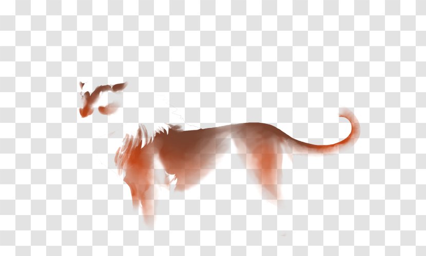 Cat Gray Wolf Desktop Wallpaper Leopard Tail Transparent PNG