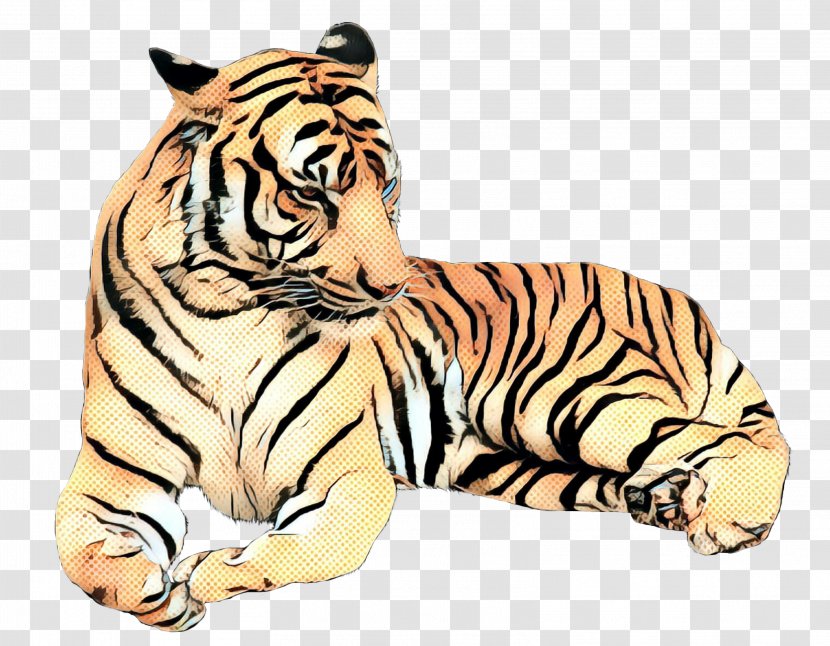 Tiger Whiskers Big Cat Terrestrial Animal - Fur - Bengal Transparent PNG