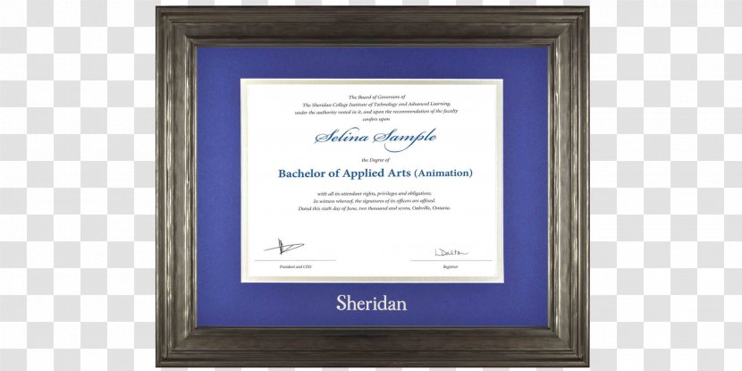 Picture Frames Diploma Academic Certificate Degree Double - English Transparent PNG