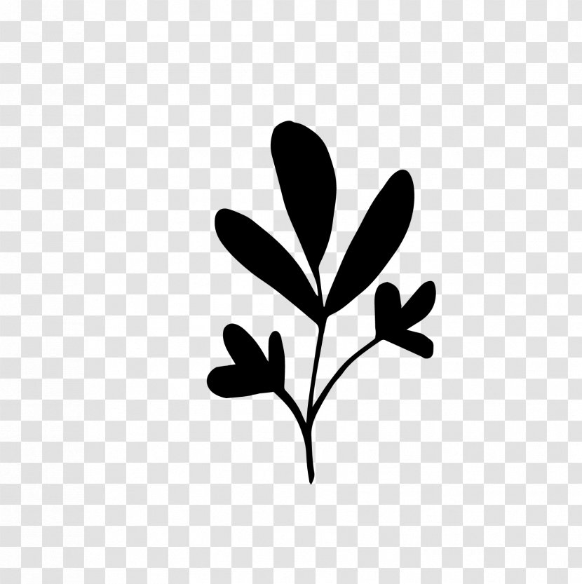 Twig Plant Stem Leaf Flower Desktop Wallpaper - Pedicel - Photography Transparent PNG