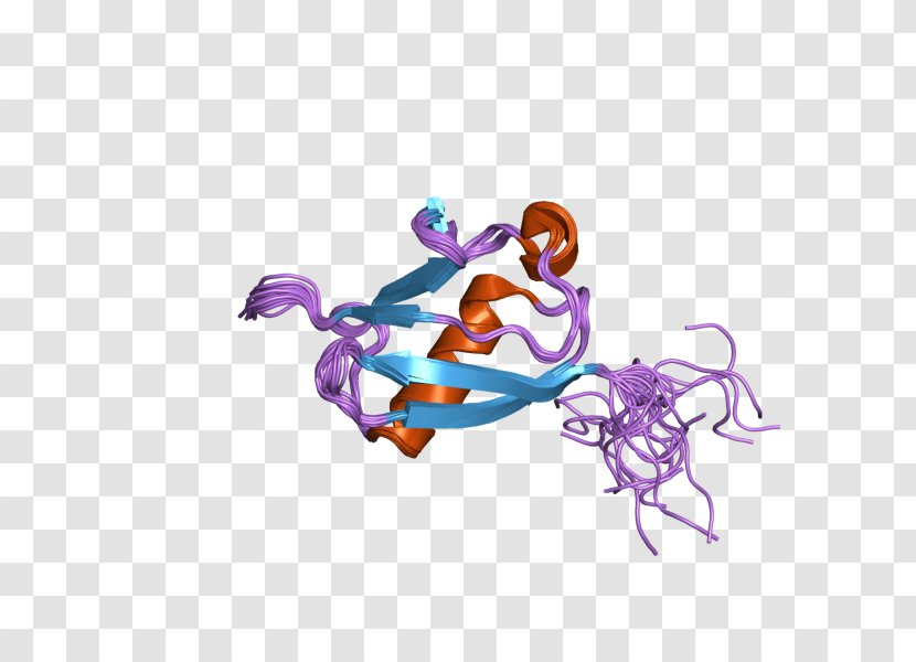 UBL4A Illustration Protein Human Ubiquitin Transparent PNG