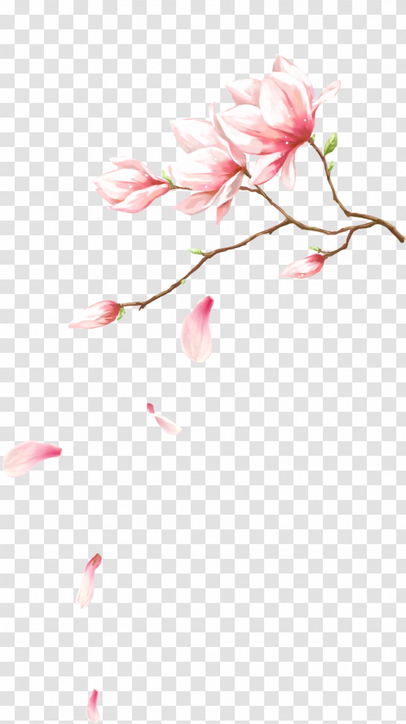 Pink Flowers Petal Computer File - Plant - With Petals Falling On Transparent PNG