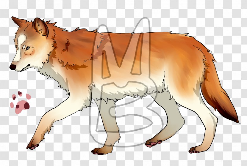 Red Fox Wolf Gray Snout - Fauna Transparent PNG