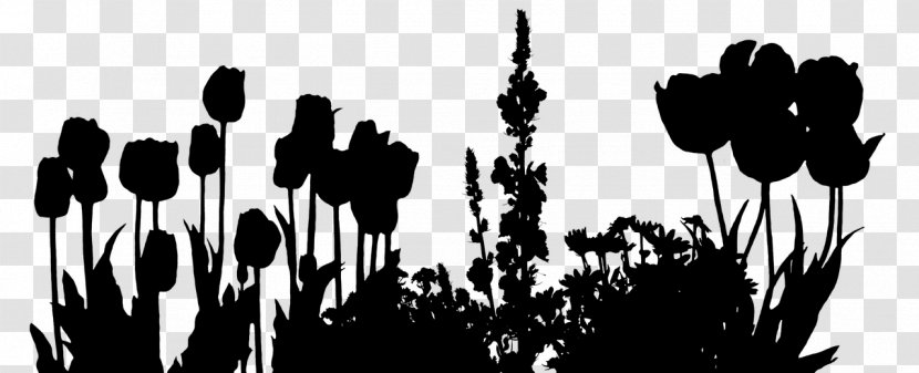 Grasses Desktop Wallpaper Plant Stem Flower Font - Branching Transparent PNG