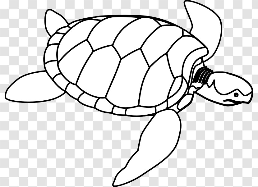 Green Sea Turtle Clip Art - Watercolor - Images Of Transparent PNG