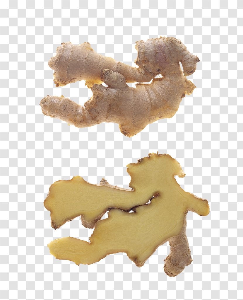 Ginger Stock Photography - Perfect - Slice Pictures Transparent PNG