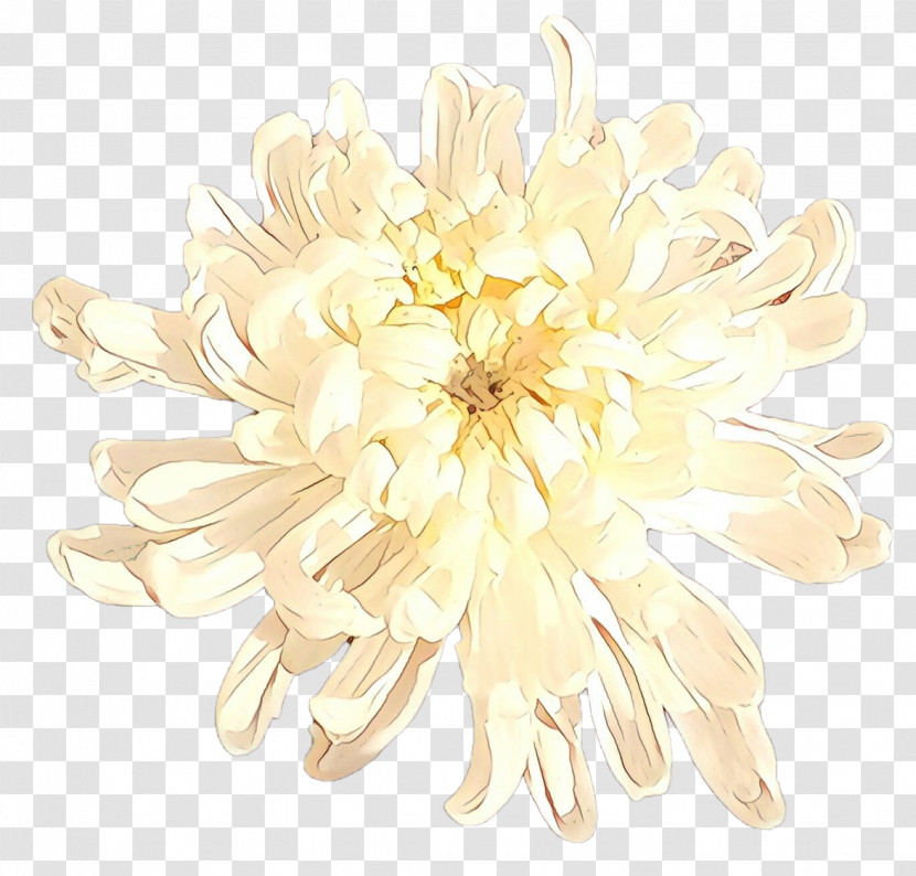 White Flower Plant Petal Yellow Transparent PNG