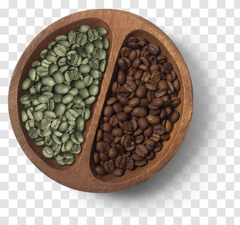 Coffee Bean Espresso Tea Cafe - Brewed - Beans Transparent PNG