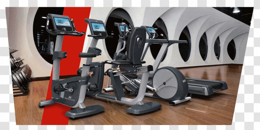 Exercise Equipment Fitness Centre Machine Physical - Bodybuilding Transparent PNG