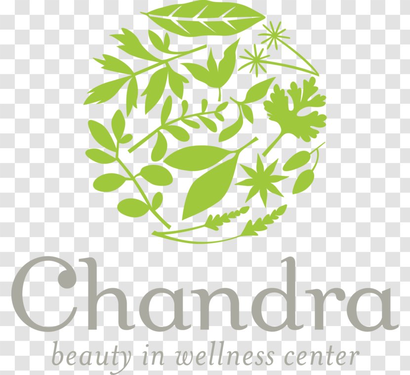 Chandra Beauty In Wellness Center Herbal Massage Health, Fitness And Ache - Flora Transparent PNG