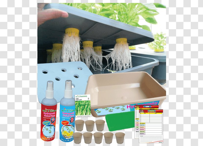 Hydroponics Aquaponics Product Expanded Clay Aggregate Mudah.my - Gardening - Learning Supplies Transparent PNG
