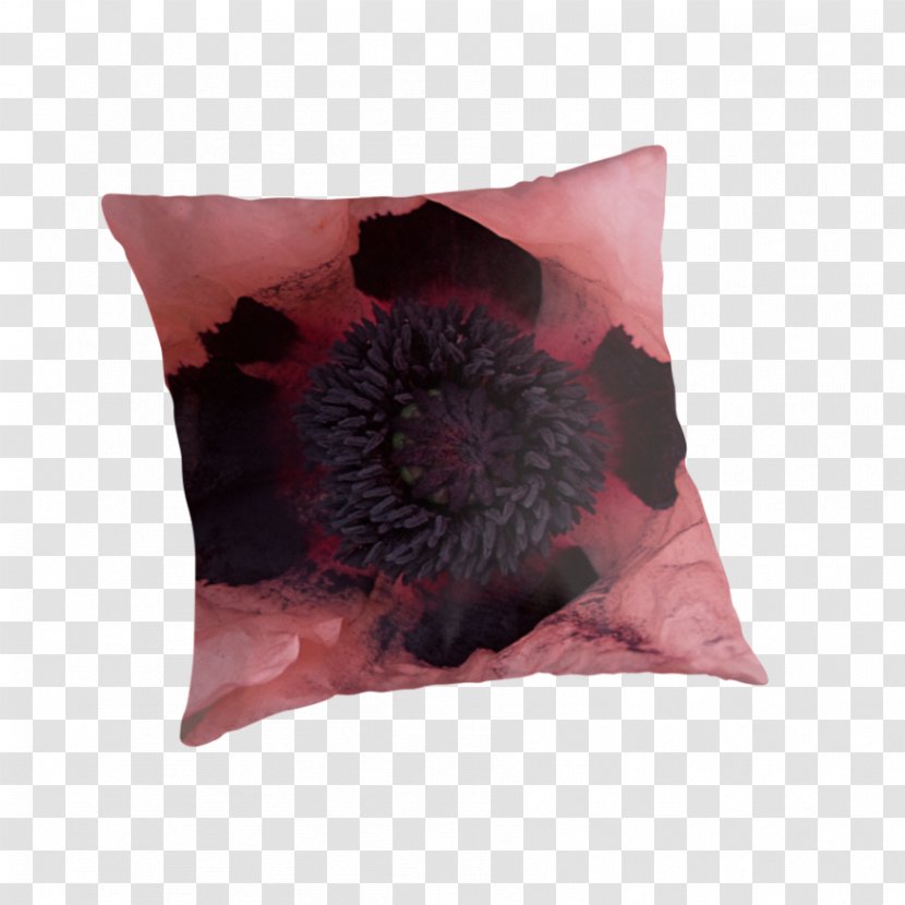 Cushion Throw Pillows The Poppy Family - Plant - Red Transparent PNG