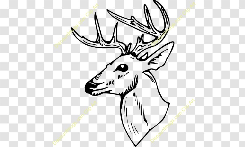 Clip Art Coloring Book White-tailed Deer Transparent PNG