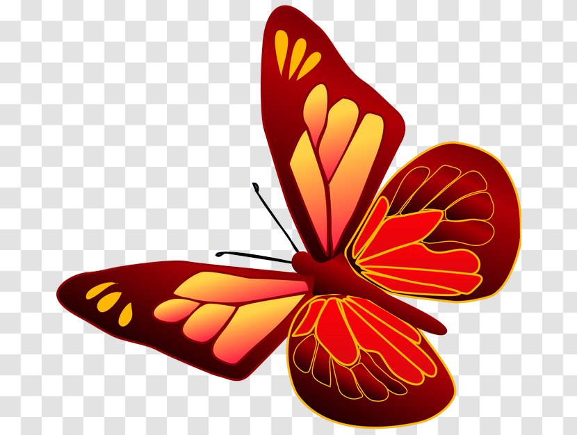 Monarch Butterfly Insect Clip Art - Animal Transparent PNG