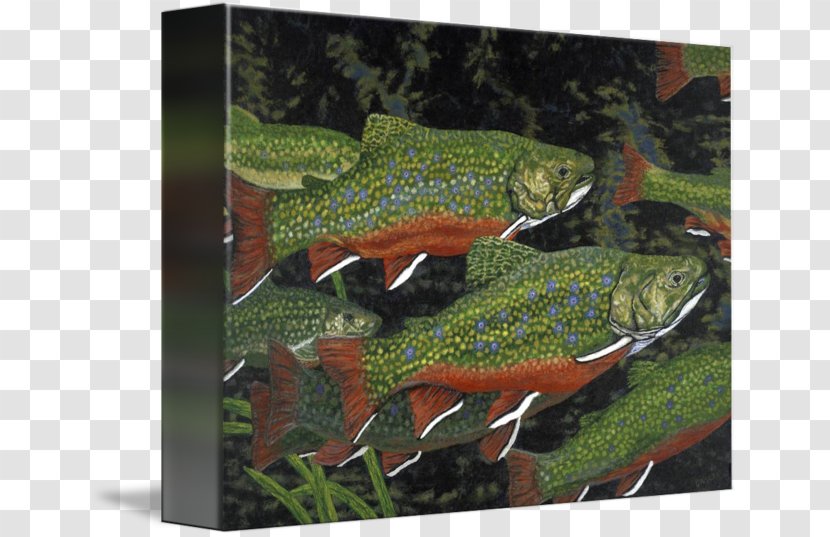 Fish Rainbow Trout Brook Salmon - Water Painting Transparent PNG