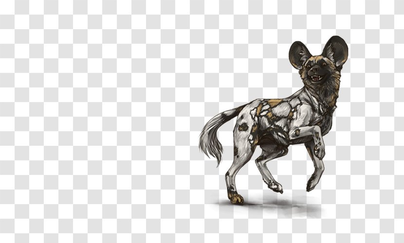 African Wild Dog Lion Breed Non-sporting Group - Skull Transparent PNG