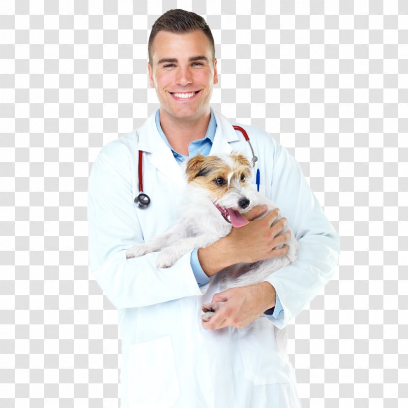 Dog Veterinarian Surgery Physician Pet - Vertebrate - The Doctor Holds Transparent PNG