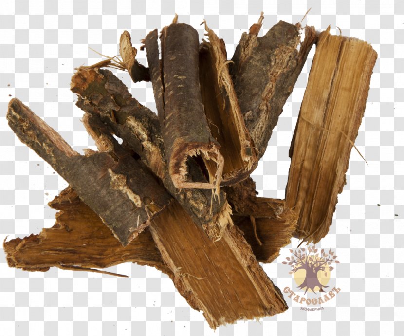 Bark English Oak Tree Root Extract - Plant Transparent PNG