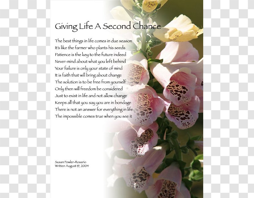 Poetry Floral Design Cut Flowers Life - Flower - Heart Transparent PNG