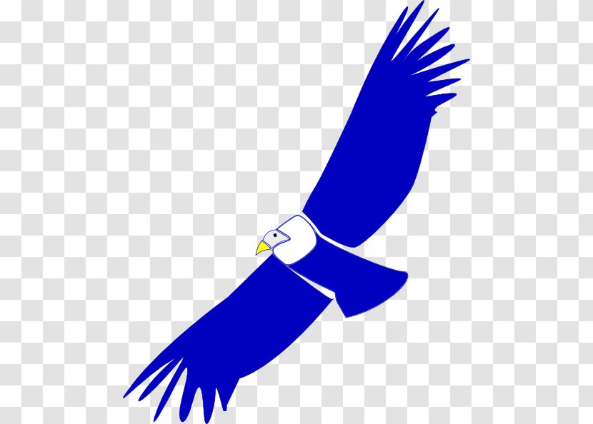 Condor Clip Art - Bird - Eagle Transparent PNG