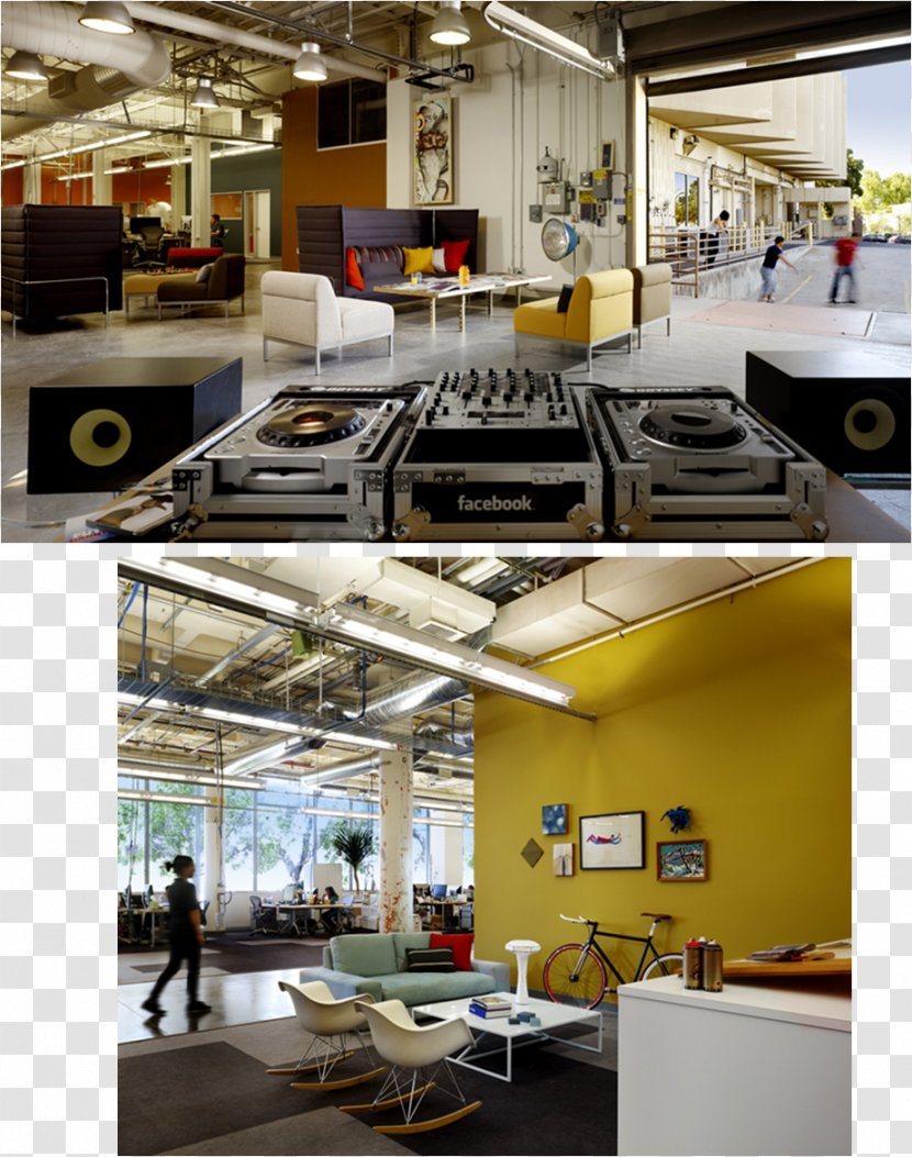 Studio O+A Office Interior Design Services Creativity - Business - Asparagus Fern Transparent PNG