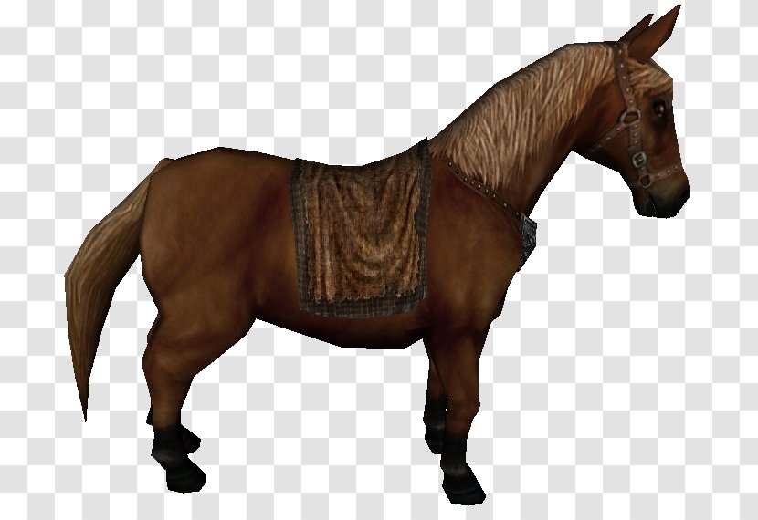Mustang Equestrian Pack Animal Rein Transparent PNG