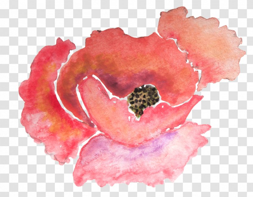 Paper Poppy Watercolor Painting Flower Zazzle - Petal Transparent PNG