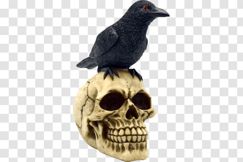 Figurine Witchcraft Skull Spell Statue - Polyresin - Perched Raven Overlay Transparent PNG