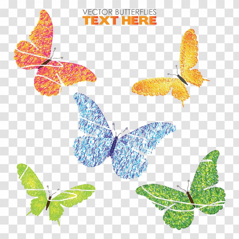 Butterfly Bee Insect - Cartoon Transparent PNG