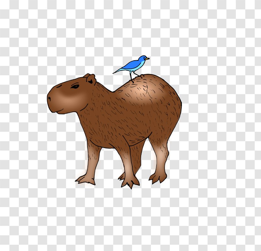 Capybara Beaver Clip Art - Terrestrial Animal Transparent PNG