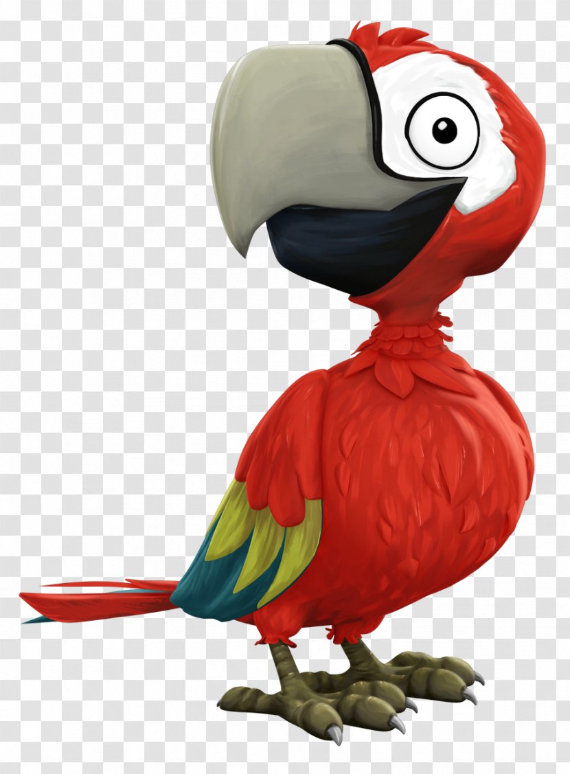 Piracy Macaw Privateer France.tv Nos Voisins Les Pirates - Tree - Cannon Ball Transparent PNG