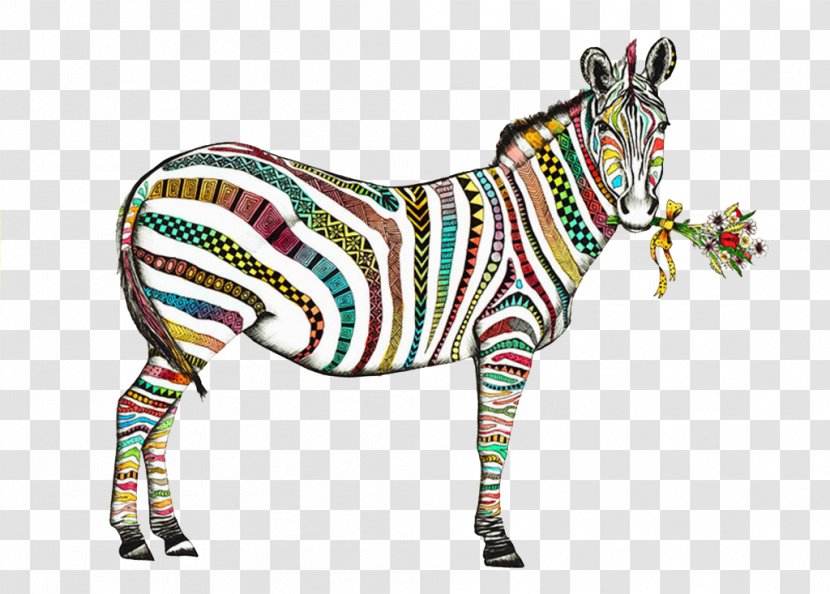 Color Zebra - Silhouette - Watercolor Transparent PNG
