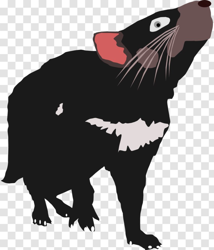 Cat Tasmanian Devil Vertebrate Taz: Wanted - Bear Transparent PNG