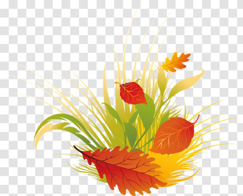 Autumn Leaf - Flower - Yaprak Transparent PNG