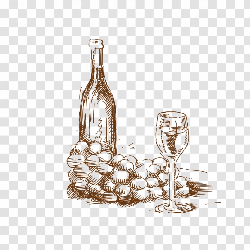 White Wine Common Grape Vine Drawing - Still Life Photography - Hand-painted Transparent PNG