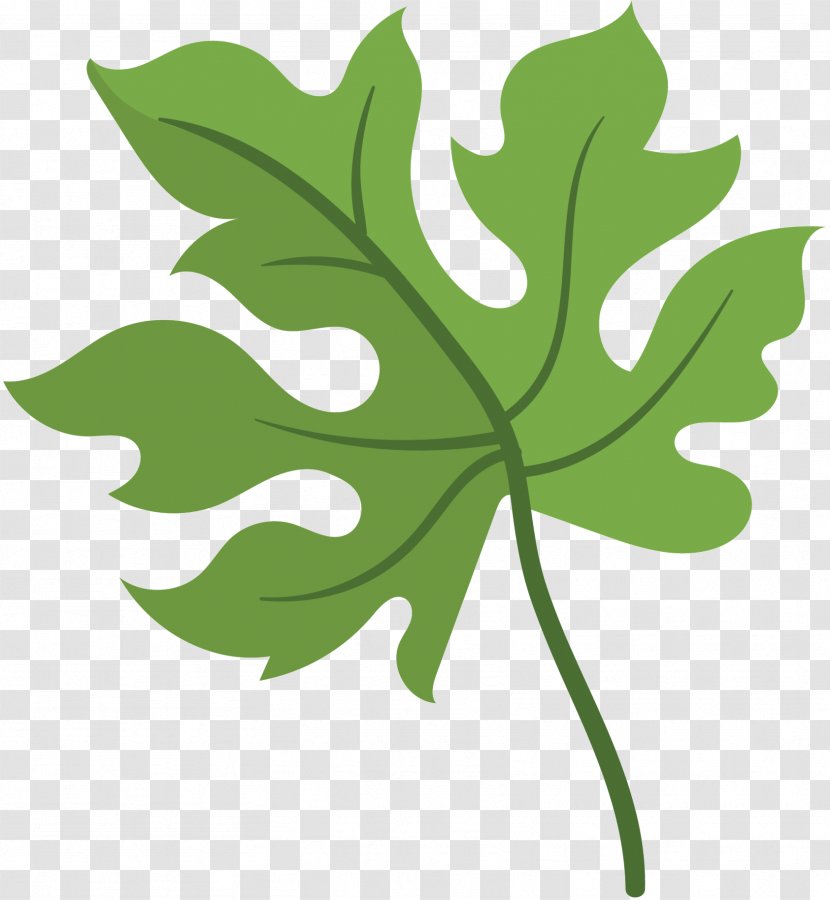 Leaf Clip Art Plant Stem Tree Plants - Flowering - Green Transparent PNG