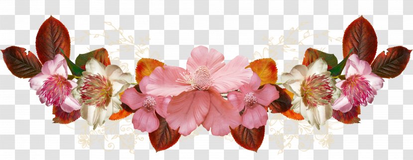 Petal Floral Design Pink M Flowering Plant - Flora - 50 Transparent PNG