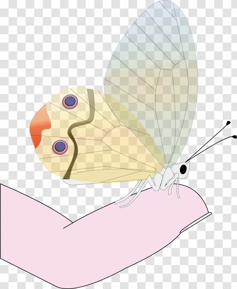 Butterfly Clip Art Vector Graphics Insect Drawing - Organism Transparent PNG