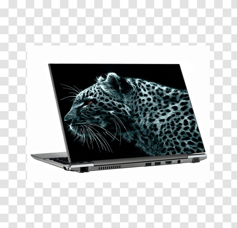 Leopard Desktop Wallpaper Felidae Cheetah - Computer Transparent PNG