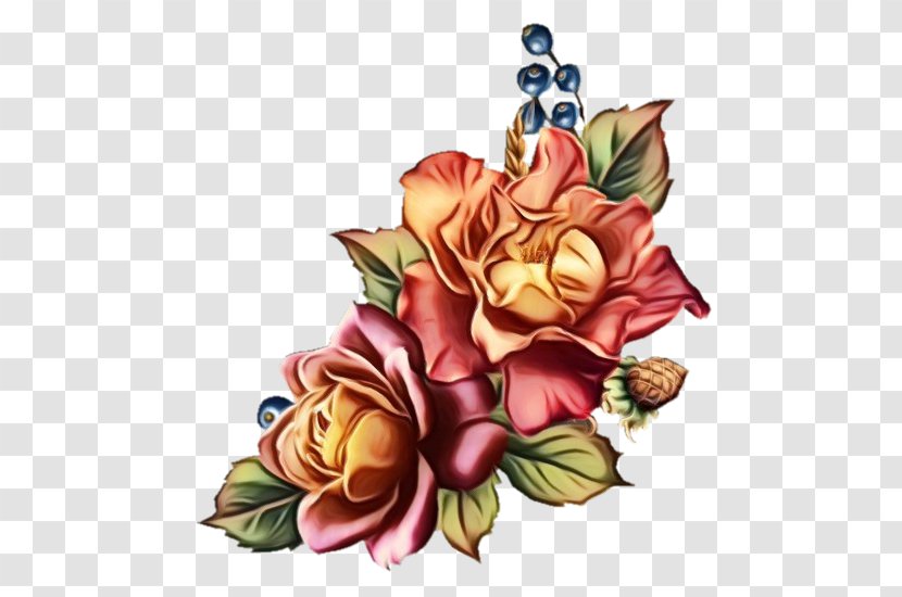 Rose - Flower - Bouquet Family Transparent PNG