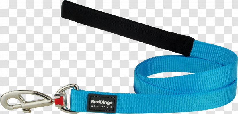 Leash Dingo Dog Puppy Cat - Pet Transparent PNG