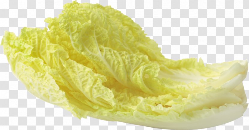 Leaf Vegetable Salad - Food Transparent PNG